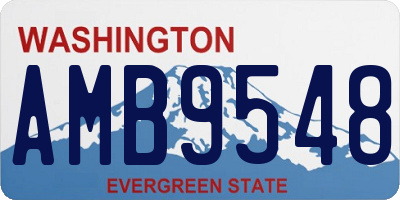 WA license plate AMB9548