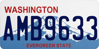 WA license plate AMB9633