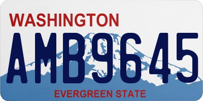 WA license plate AMB9645