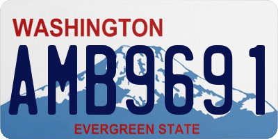WA license plate AMB9691