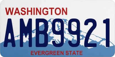 WA license plate AMB9921