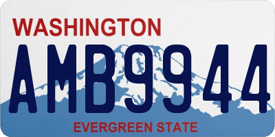 WA license plate AMB9944