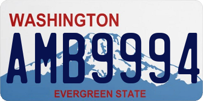 WA license plate AMB9994