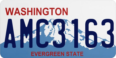 WA license plate AMC3163