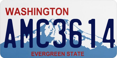 WA license plate AMC3614