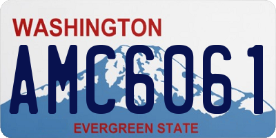 WA license plate AMC6061