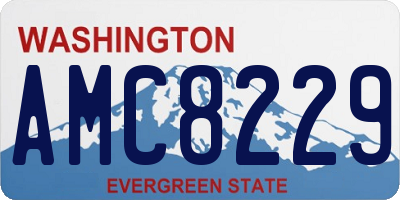 WA license plate AMC8229