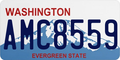 WA license plate AMC8559