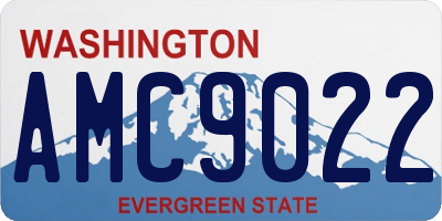 WA license plate AMC9022