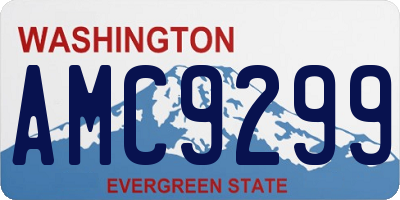 WA license plate AMC9299