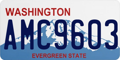 WA license plate AMC9603
