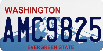 WA license plate AMC9825