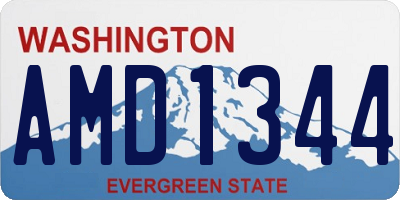 WA license plate AMD1344