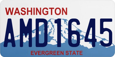 WA license plate AMD1645