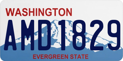 WA license plate AMD1829