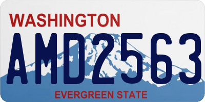 WA license plate AMD2563