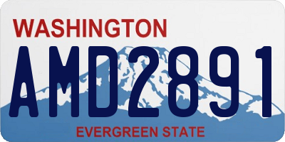 WA license plate AMD2891
