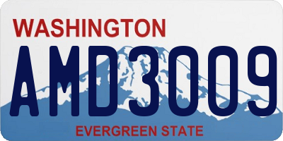 WA license plate AMD3009