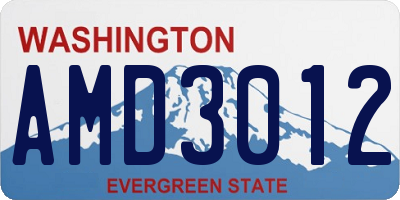 WA license plate AMD3012