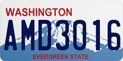 WA license plate AMD3016
