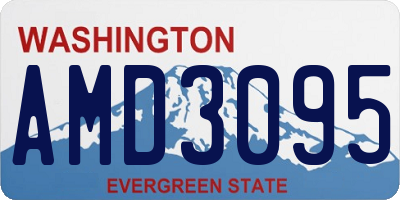 WA license plate AMD3095