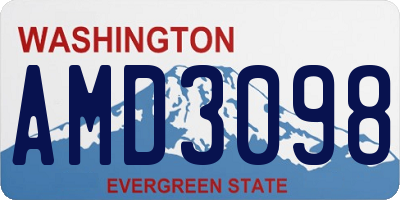 WA license plate AMD3098
