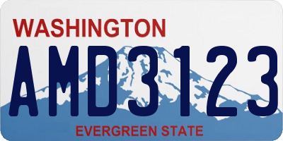 WA license plate AMD3123