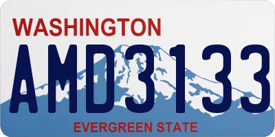 WA license plate AMD3133