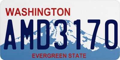 WA license plate AMD3170