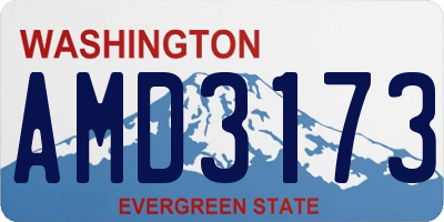 WA license plate AMD3173