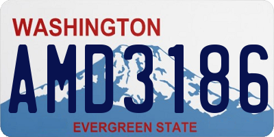 WA license plate AMD3186