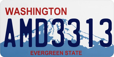 WA license plate AMD3313