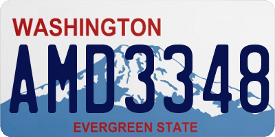 WA license plate AMD3348