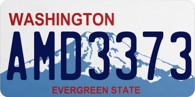 WA license plate AMD3373