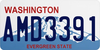 WA license plate AMD3391