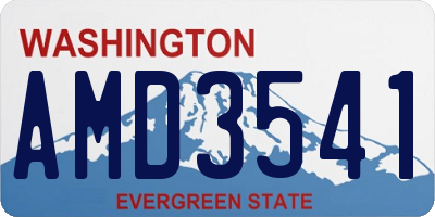 WA license plate AMD3541