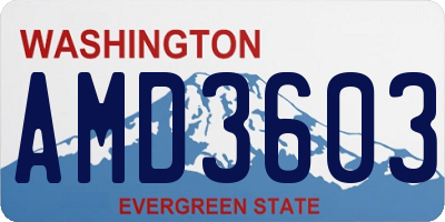 WA license plate AMD3603