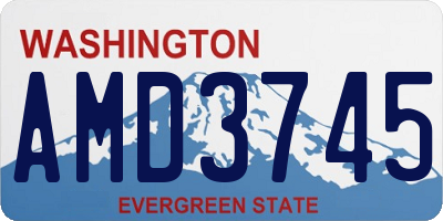 WA license plate AMD3745
