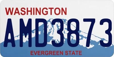 WA license plate AMD3873