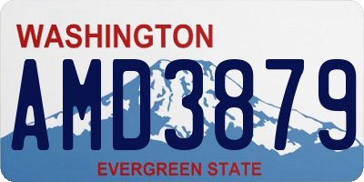 WA license plate AMD3879
