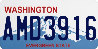 WA license plate AMD3916