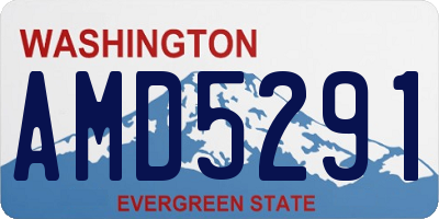WA license plate AMD5291