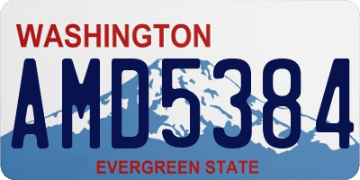 WA license plate AMD5384