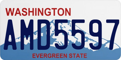 WA license plate AMD5597