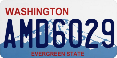 WA license plate AMD6029