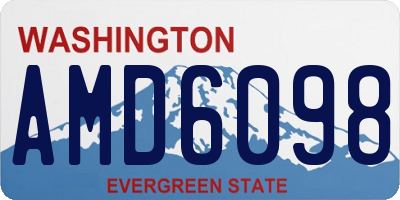 WA license plate AMD6098