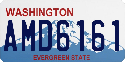 WA license plate AMD6161