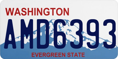 WA license plate AMD6393