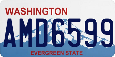 WA license plate AMD6599