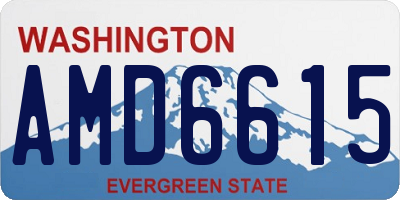WA license plate AMD6615
